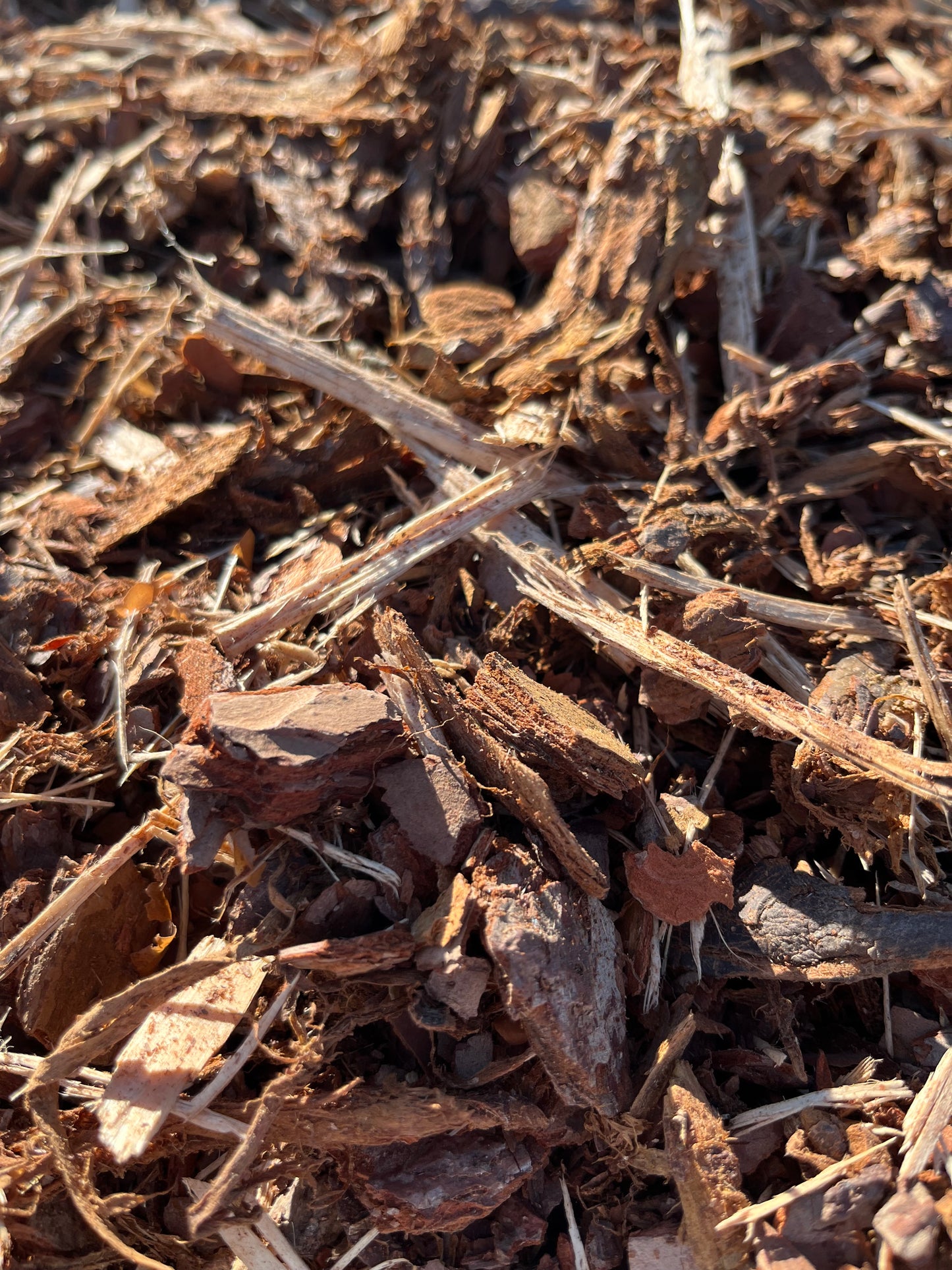 Männyn kuorikate – 160 l, 500 l tai 1000 l suursäkissä | Multatuli